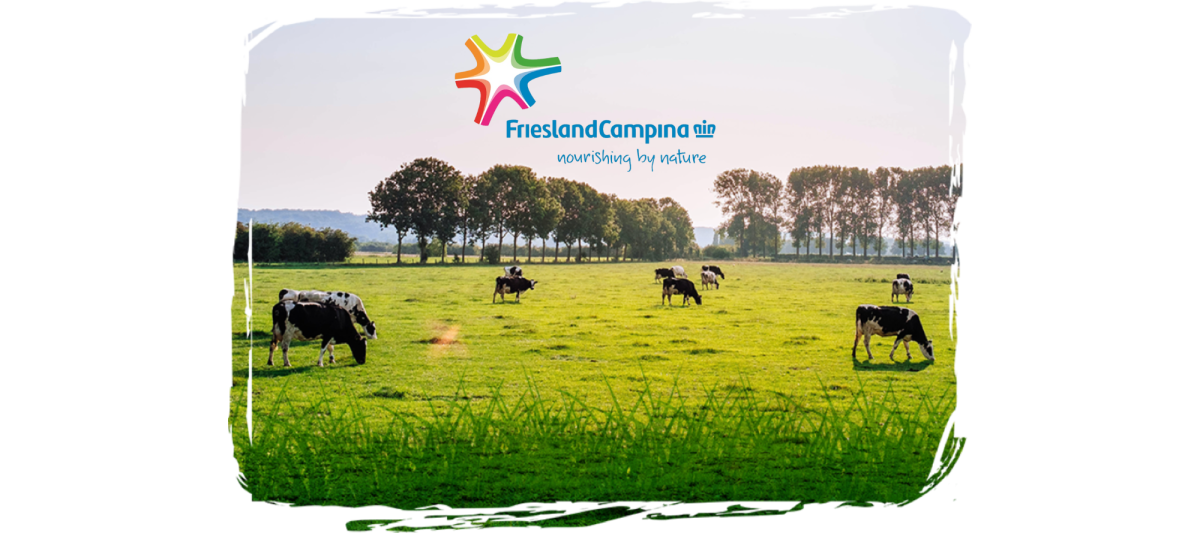 Friesland Campina logo op een koeienweide